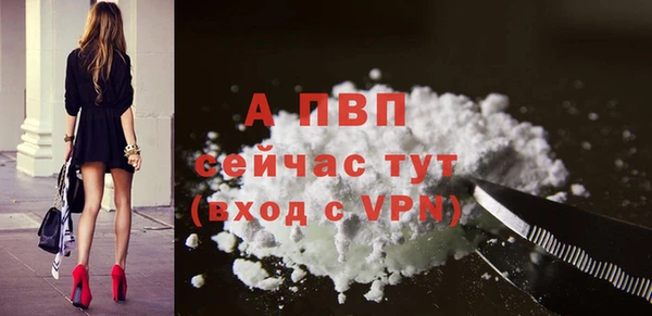 амф Арсеньев