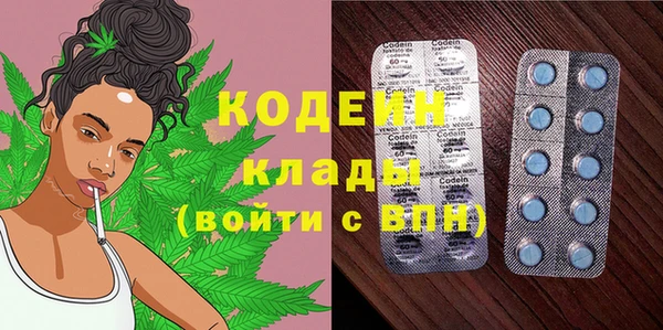 амф Арсеньев